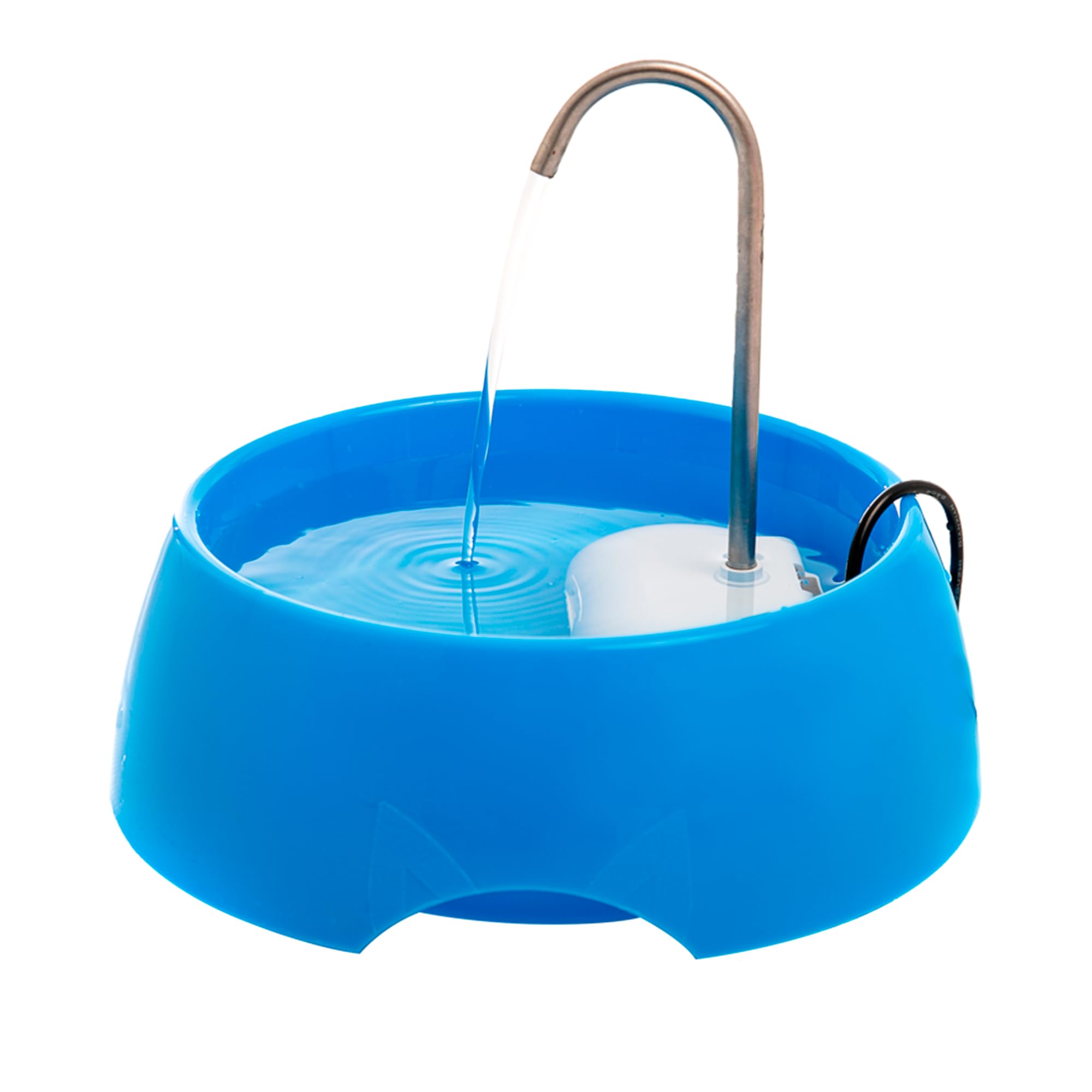 AMICUS - Fonte Bebedouro de Água Portátil AQUA MINI para Gatos e Cães - Fontes de Água para Pets, Bebedouro para Animais de Estimação - Adaptável, Aço Inoxidável, Bivolt - 1,2L de Capacidade - Azul