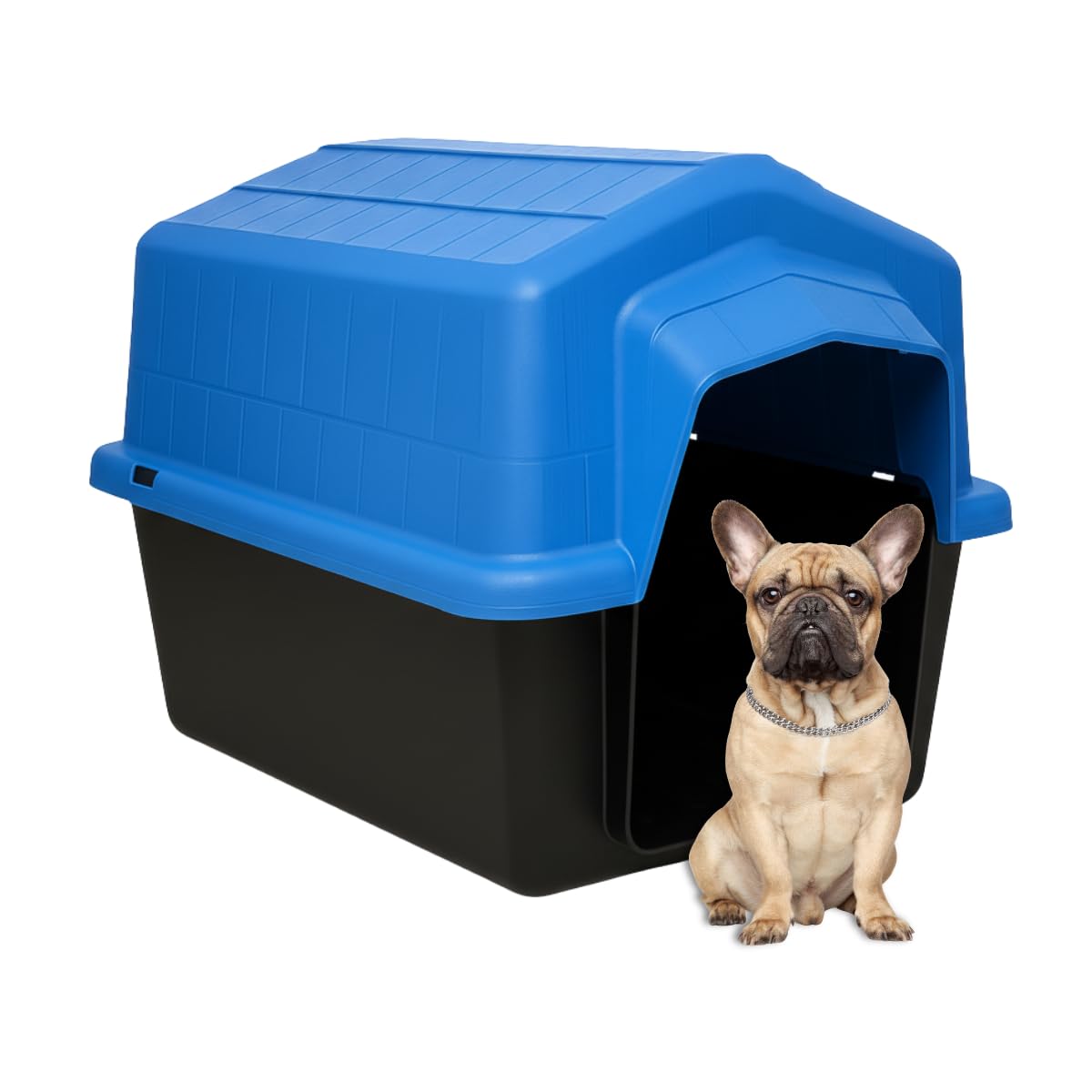 Casinha Caminha Pet N4 2 em 1 Cachorro Pequeno Médio Uso Interno Externo Sol Chuva | Casa Desmontável Proteção Conforto | Cães Porte até 20kg | Plástico Rígido Fácil Limpeza Proteção UV (Azul)