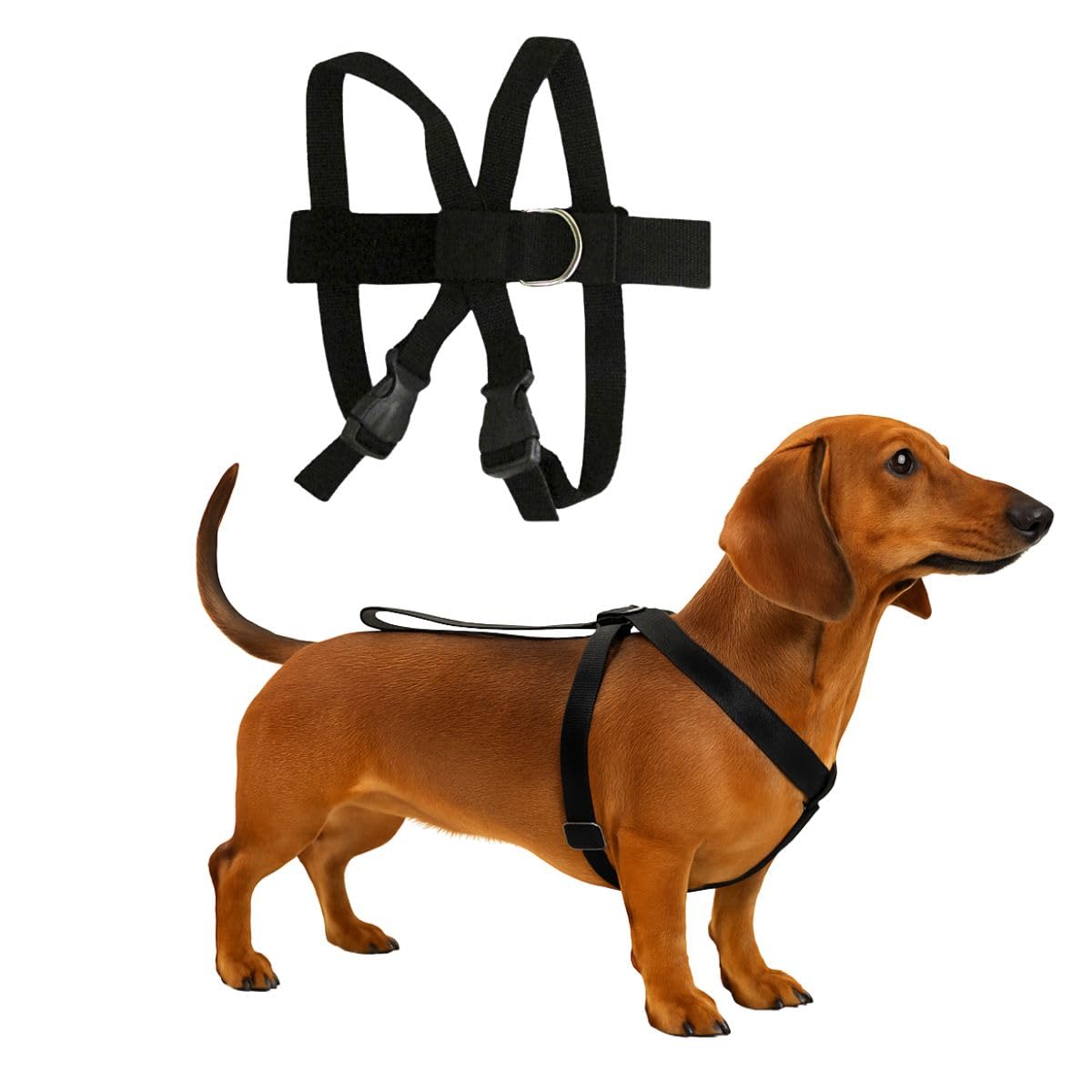 Santa Fé Cinto De Segurança Pet Cachorro Cão Gato Médio Preto