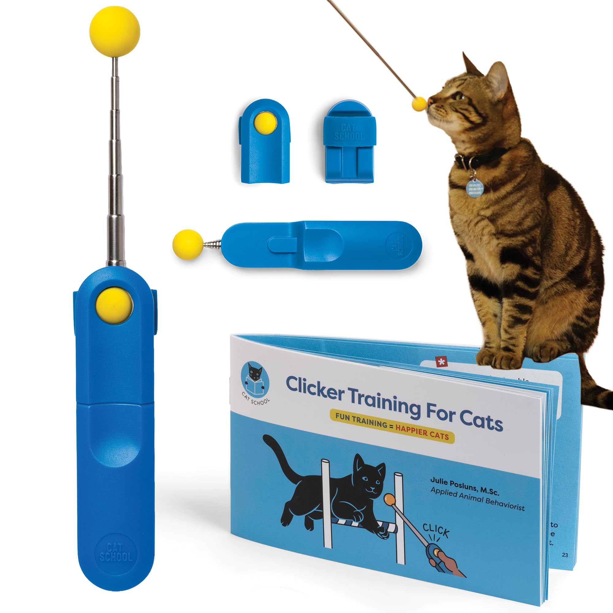 CAT SCHOOL Treinamento clicker para gatos