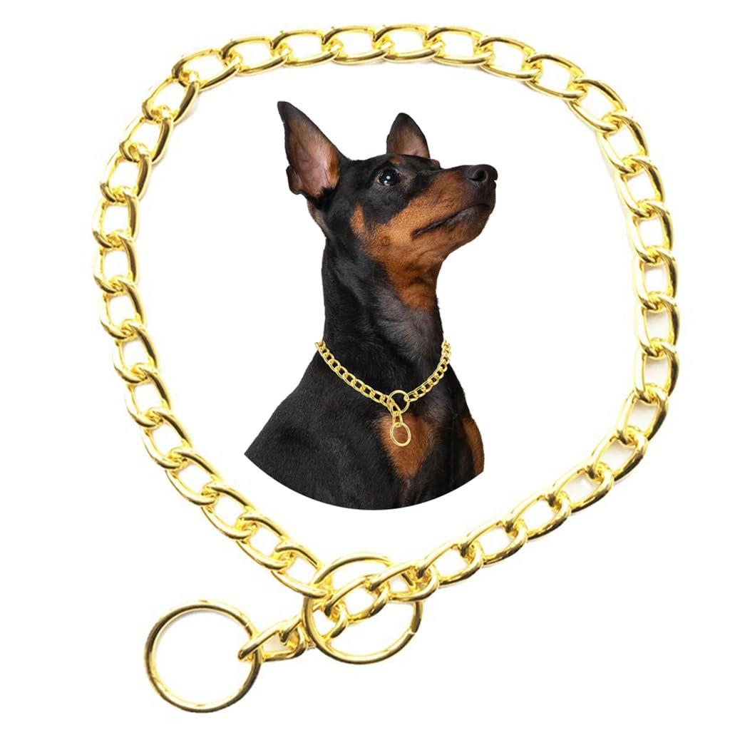 Coleira de corrente para cães, coleira de metal para adestramento resistente, coleira martingale para cachorrinhos para cães PPP, PP, médio, grande, GG, dourado, PP