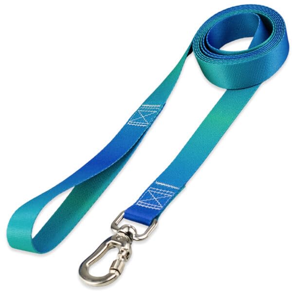 Basic Pet Coleira Guia 2 Metros Para Cães Cachorro Adestramento Passeio Porte Grande (Lake, G)