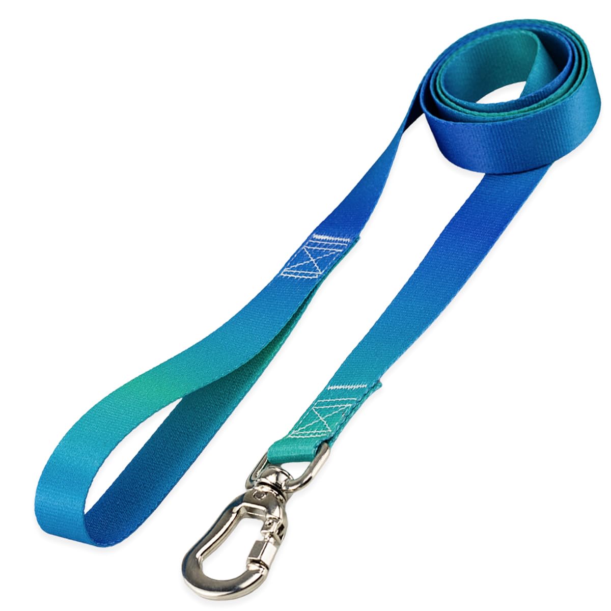 Basic Pet Coleira Guia 2 Metros Para Cães Cachorro Adestramento Passeio Porte Grande Médio Pequeno (Lake, P)