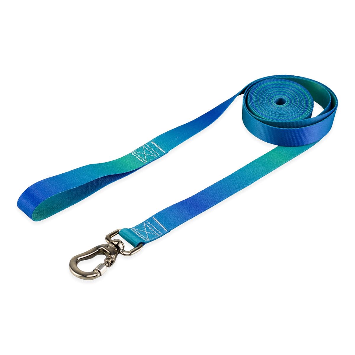 Basic Pet Coleira Guia 5 Metros Para Cães Cachorro Adestramento Passeio Porte Grande Médio Pequeno (Lake, G)