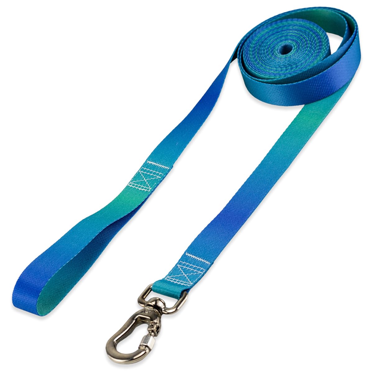 Basic Pet Coleira Guia 10 Metros Para Cães Cachorro Adestramento Passeio Porte Grande Médio Pequeno (Lake, G)
