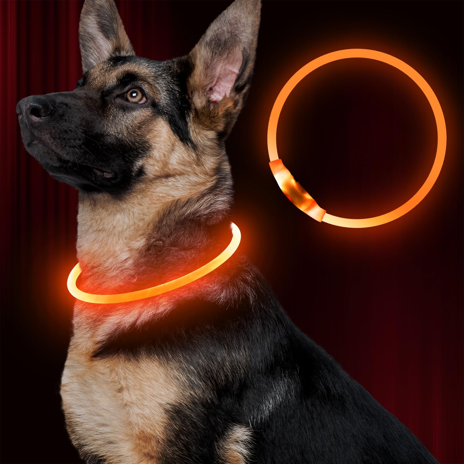 BSEEN Coleira de LED para Cães, Recarregável, Brilhante, Segurança Noturna, Coleira Moderna com Iluminação para Cães Pequenos, Médios e Grandes (Laranja)