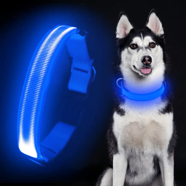 Colaseeme Coleira de LED para cães com iluminação micro USB recarregável ajustável de nylon fivela de plástico anel D coleira básica de segurança para cães (M, azul)