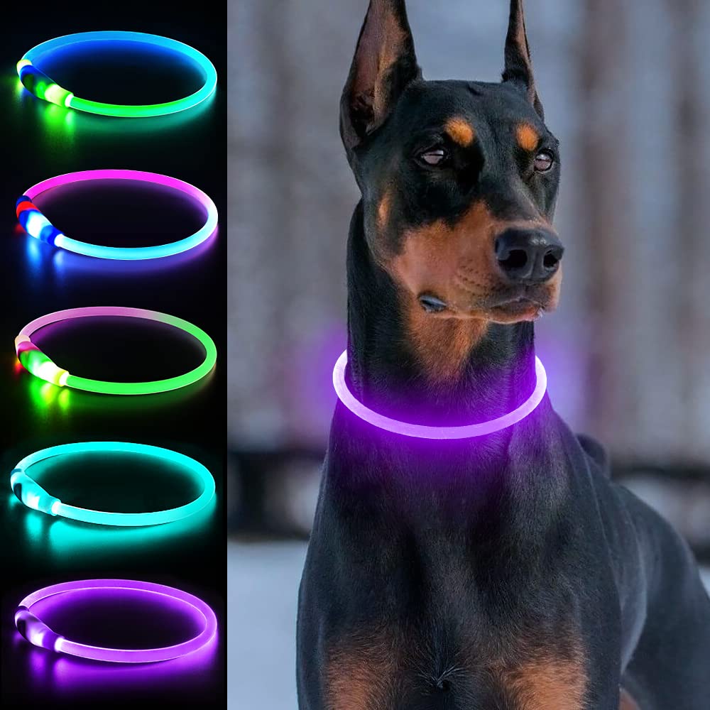 Coleiras para cães iluminadas, recarregável por USB, Dlitk LED, coleira para cães, 1 unidade, coleira brilhante de TPU para cães, leve para coleira de cachorro, não use carregamento rápido (roxo)