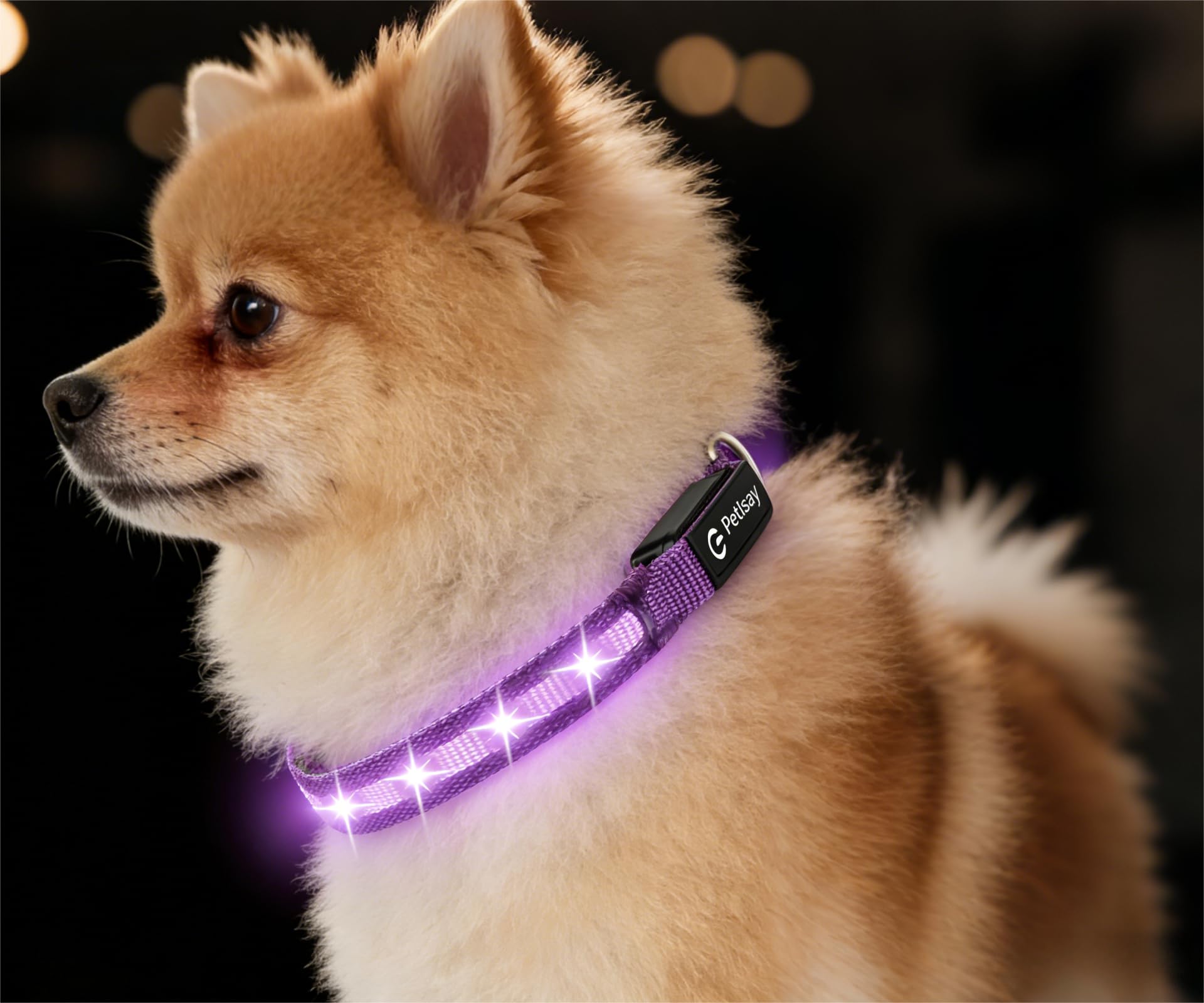 Coleira de LED super brilhante para cães – totalmente à prova d'água e ajustável – USB-C recarregável para caminhadas noturnas, segurança – coleira iluminada piscante para cães (roxo, PP)