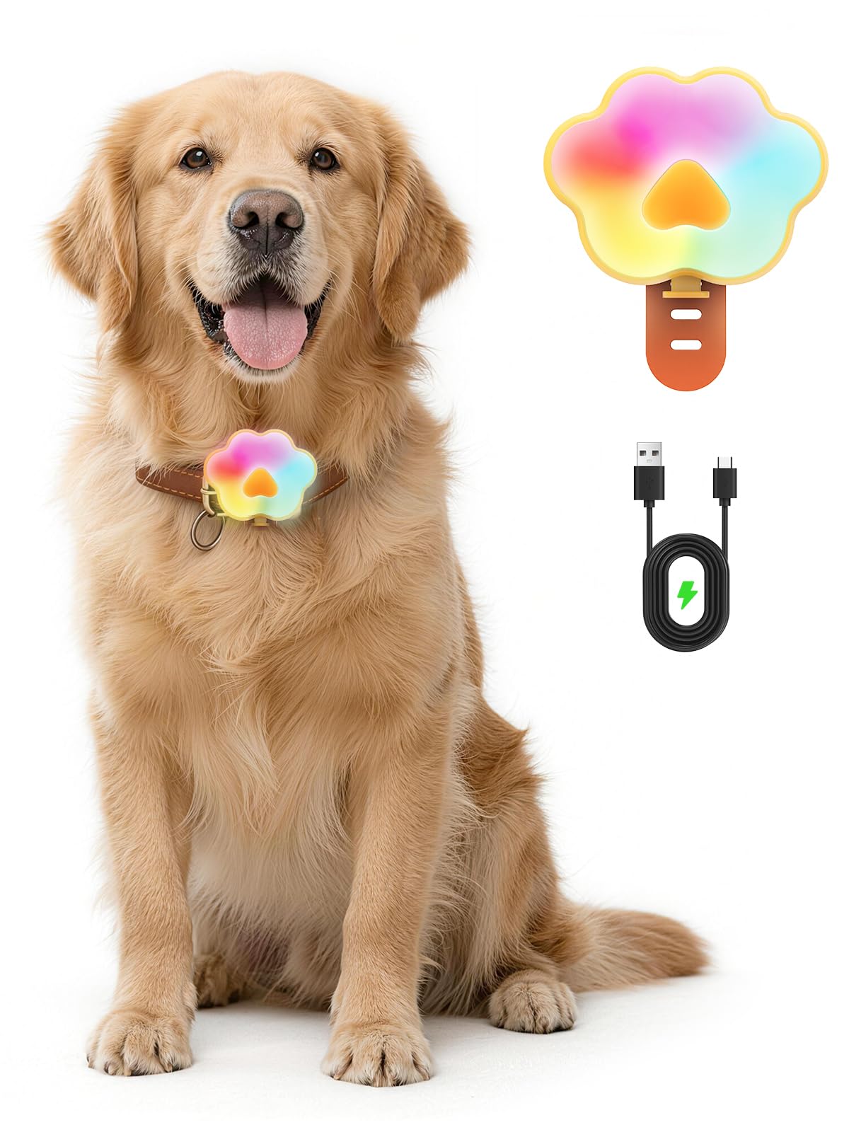 Lekereise Luz LED brilhante para coleira de cachorro para caminhadas noturnas - Luz de segurança para animais de estimação com 6 modos RGB, design de encaixe recarregável à prova d'água, vida útil da