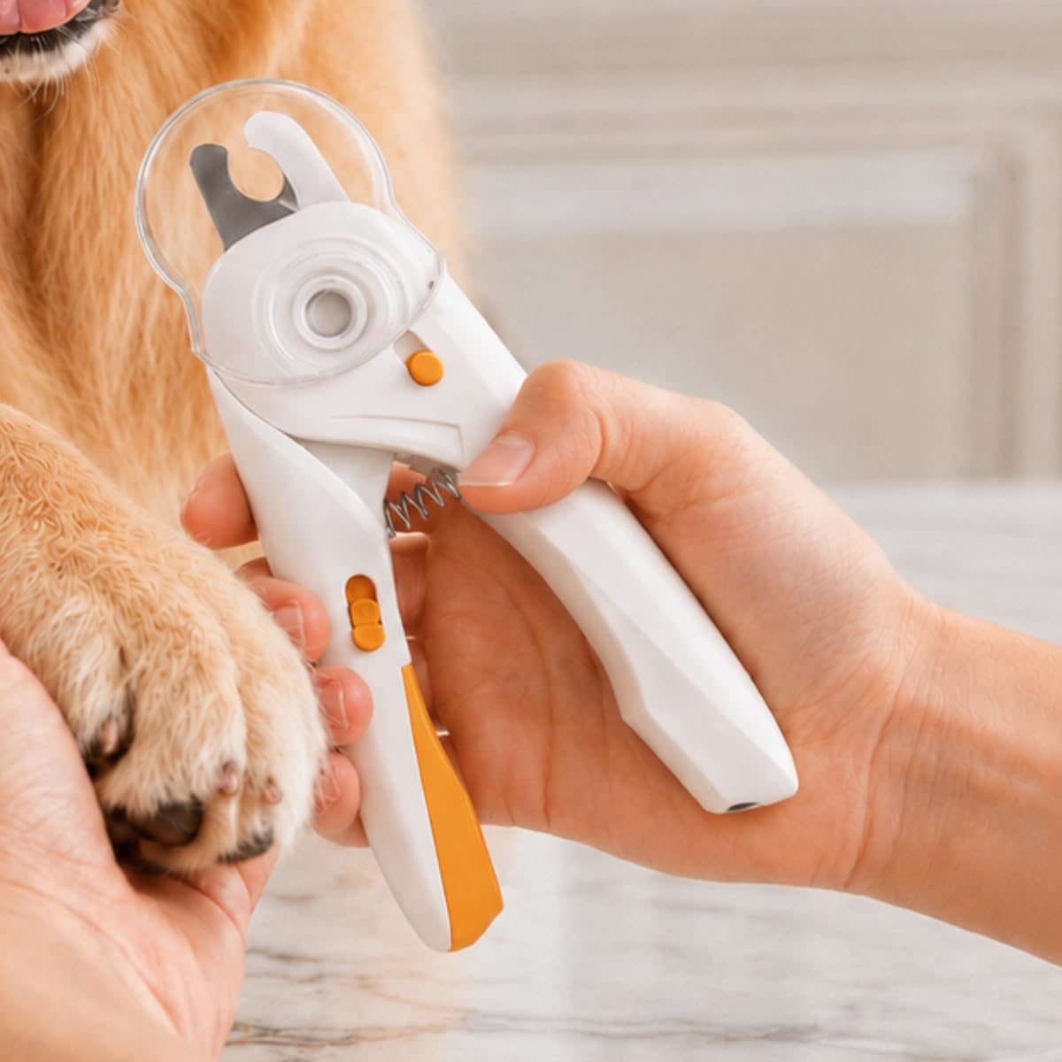 Cortador de Unha Pet com Luz LED para Cães e Gatos – Alicate Profissional em Aço Inox com Lixa e Pilha Inclusa | Enxergue a Veia e Corte sem Machucar o Pet (Branco/Laranja)