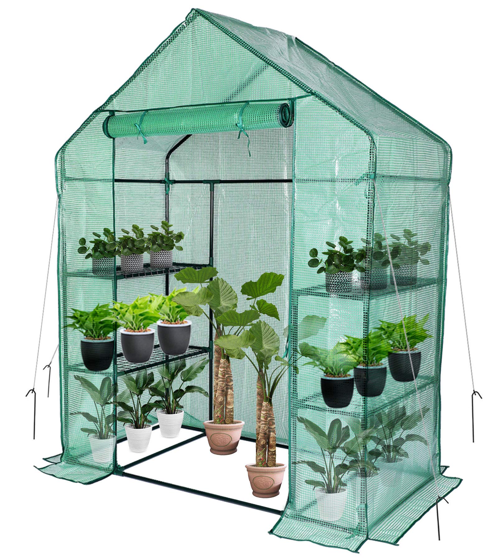 Estufa, estufa para ambientes internos e externos, janelas e âncoras incluídas, mudas de plantas de cultivo ervas ou flores (142 cm × 76 cm × 191 cm)