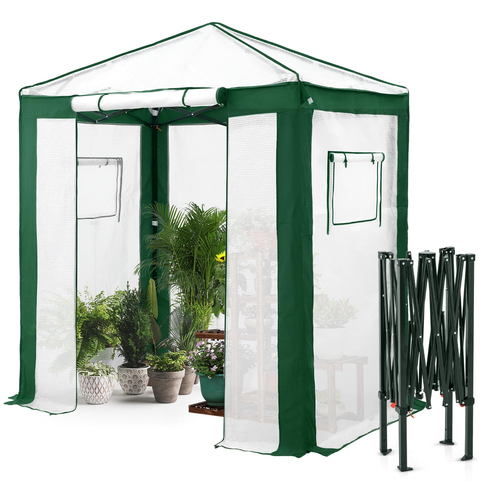 EAGLE PEAK Estufa portátil de 15 x 10 cm com cantos reforçados com poliéster, estufa instantânea para jardinagem interna e externa, porta de entrada com zíper dobrável e janelas de malha, verde/branco