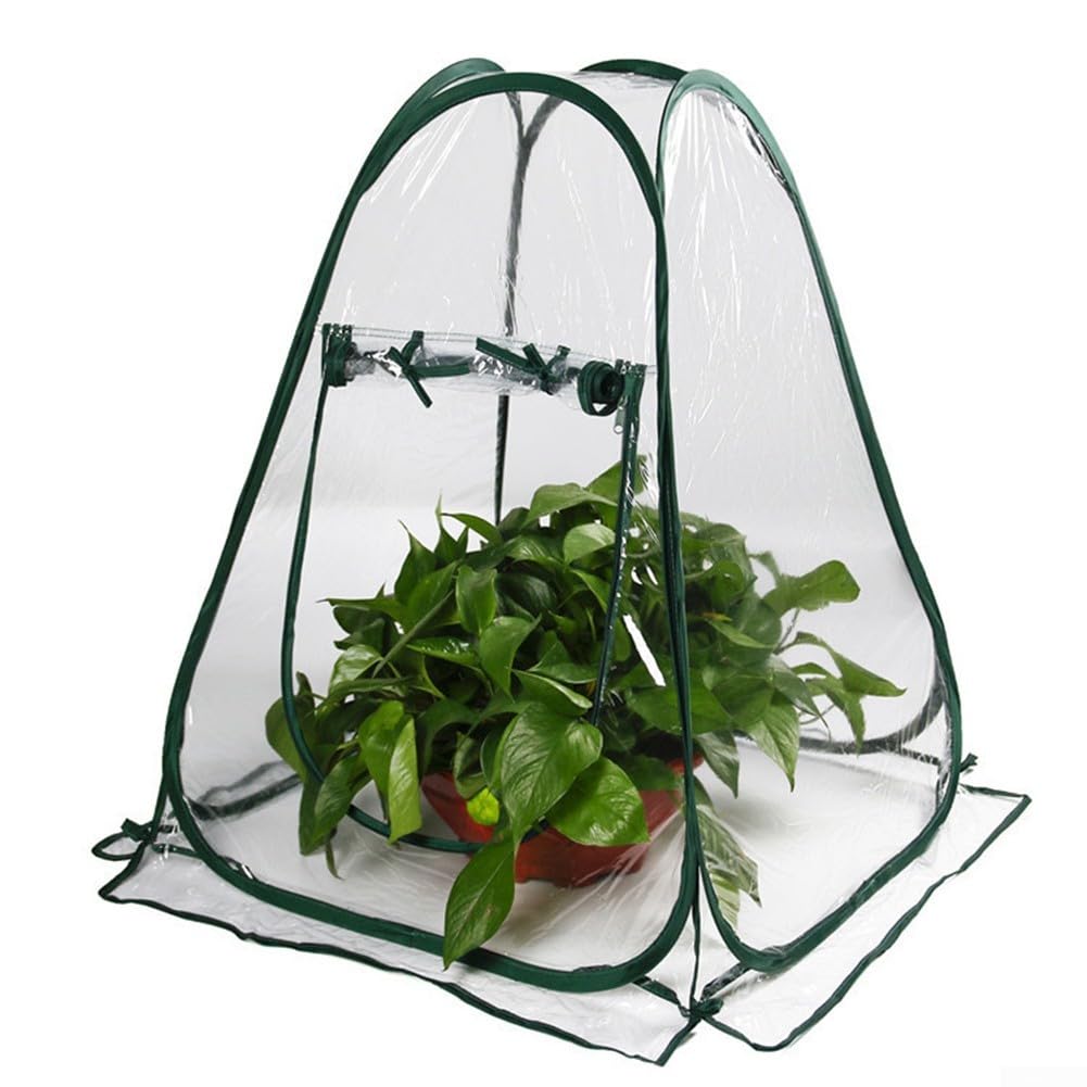 Para Mini Estufa para Plantas – Portátil 70 X 70 X 80 cm Dobrável Exterior Interior Pequena Tenda de Estufa com Cobertura de PVC Engrossado Argolas de Aço Pregos de Chão – Ideal