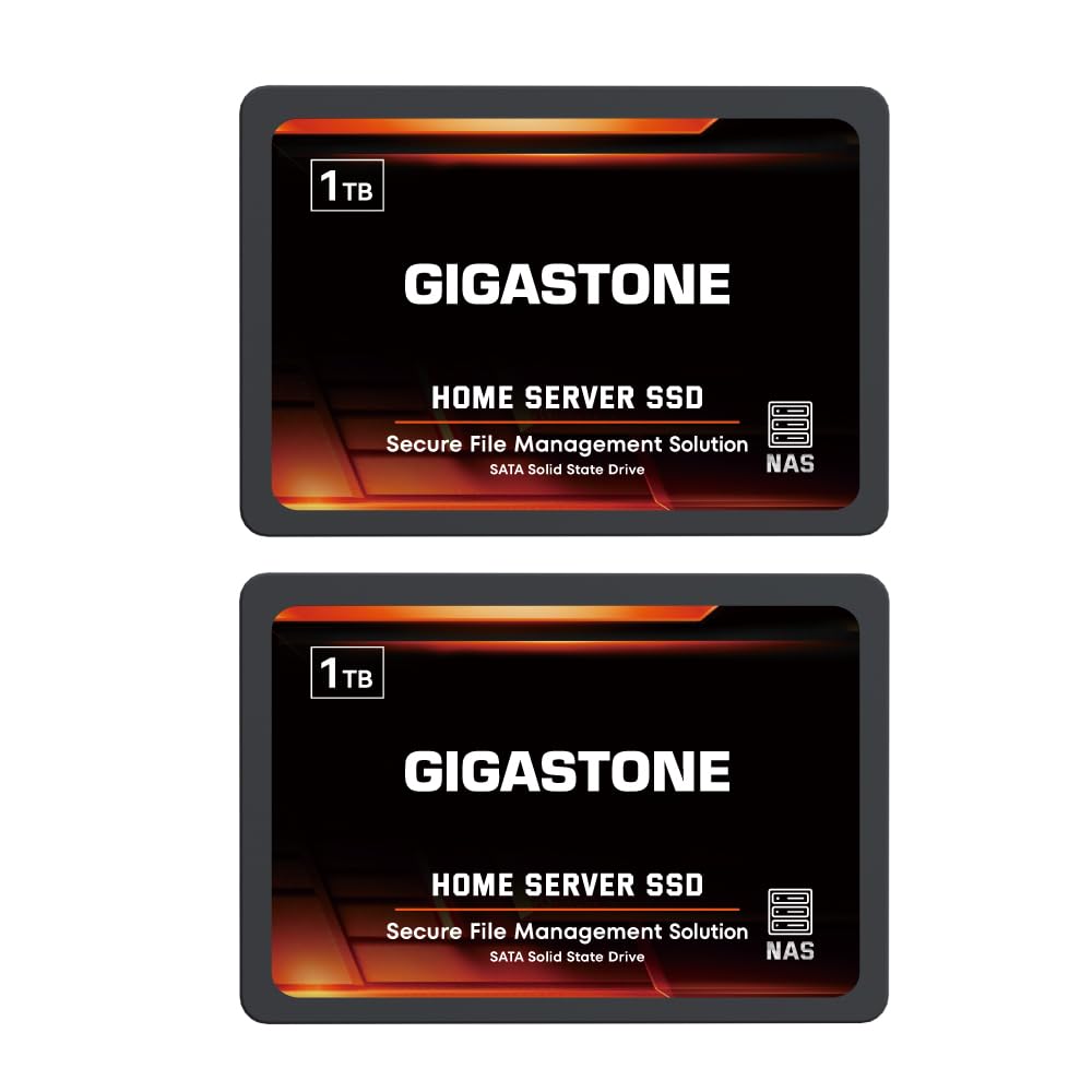 Gigastone 【Certificação NAS】 SSD de servidor doméstico de 1 TB (pacote com 2) Flash TLC de até 550 MB/s com cache SLC 24 horas por dia, 7 dias por semana, confiável para jogos/PC/NAS SSD