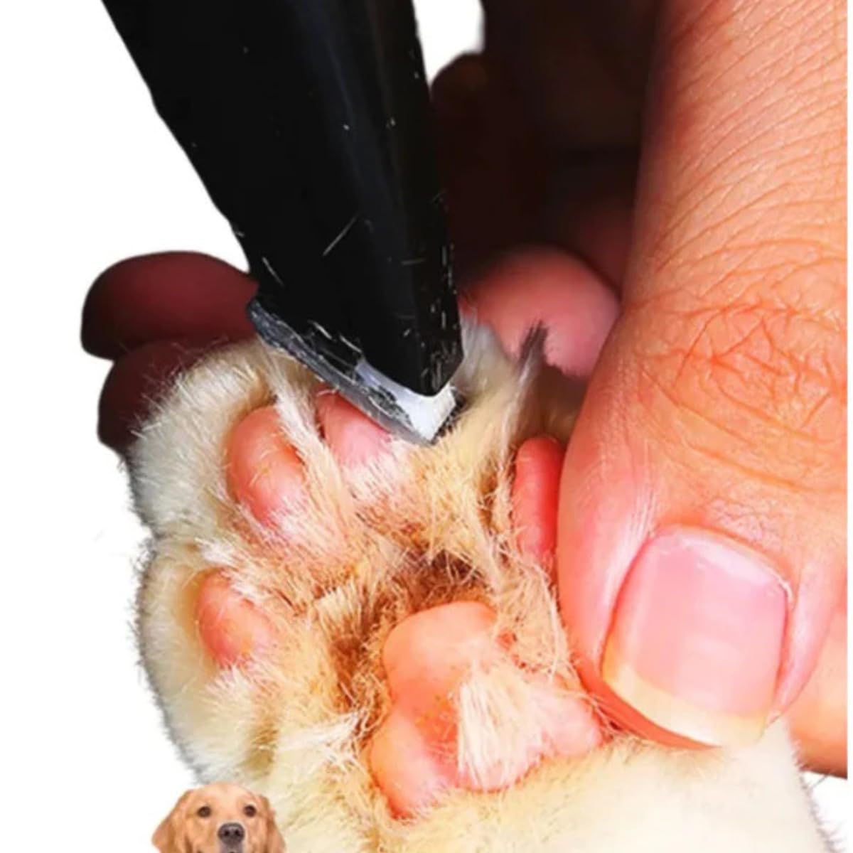 Maquina de Tosa para Acabamento Pet Portatil e Silenciosa, Ideal para Patas, Rosto e Higiene Intima, Lamina de Ceramica, Recarregavel USB, Profissional para Caes e Gatos