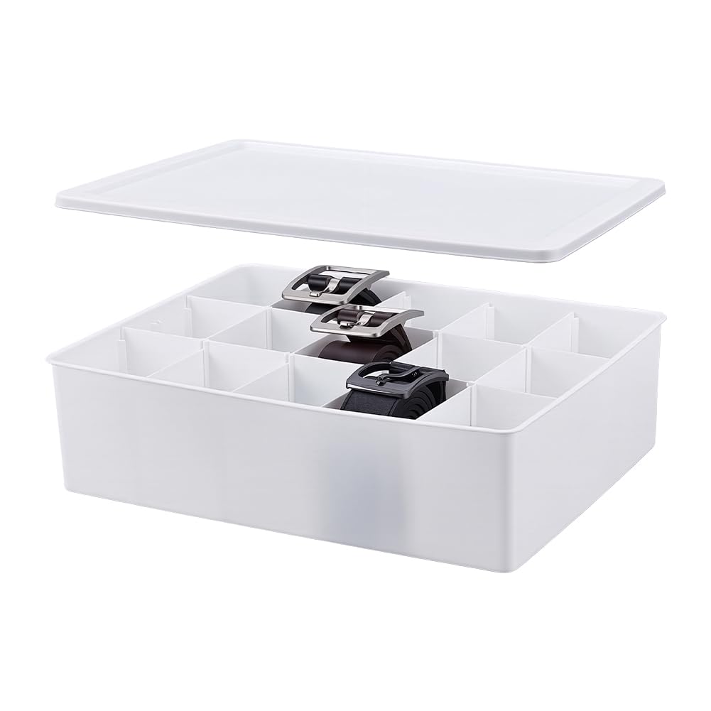 AHANDMAKER Caixa organizadora de gravatas de plástico empilhável com 15 células, para armazenamento de gavetas, decoração de casa, branca, 30 x 24 x 9 cm