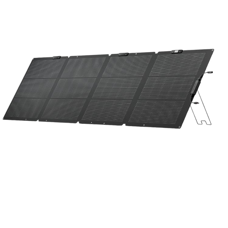 EF ECOFLOW Painel Solar Portátil - EcoFlow 220W Monofacial