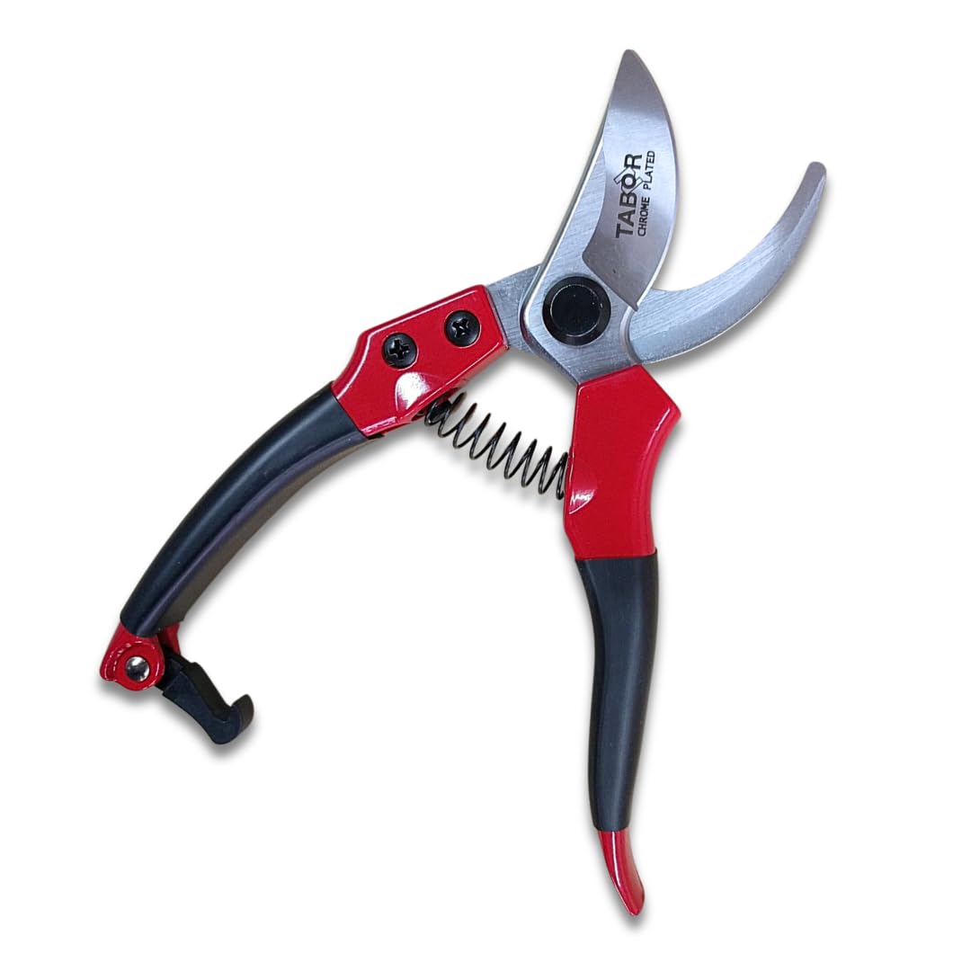 TABOR TOOLS Tesoura de Poda Bypass S821A, Faz Cortes Limpos, Ótima para Mãos de Tamanho Pequeno. Tesoura de Poda Profissional Afiada, Podador de Mão, Tesoura de Jardim, Tosquiadeiras para Jardim.