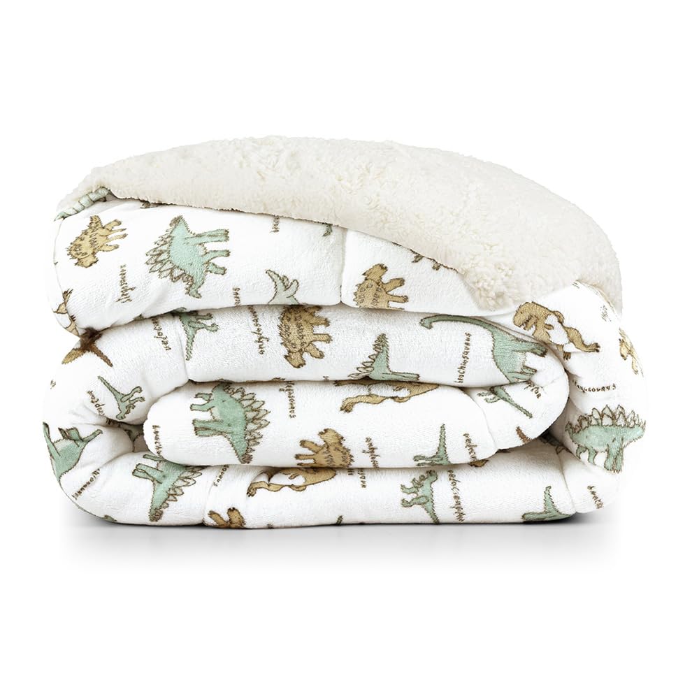 Coberdrom Tutti Kids 01 Peça | Edredom Solteiro Dupla Face Manta Flannel e Sherpa -