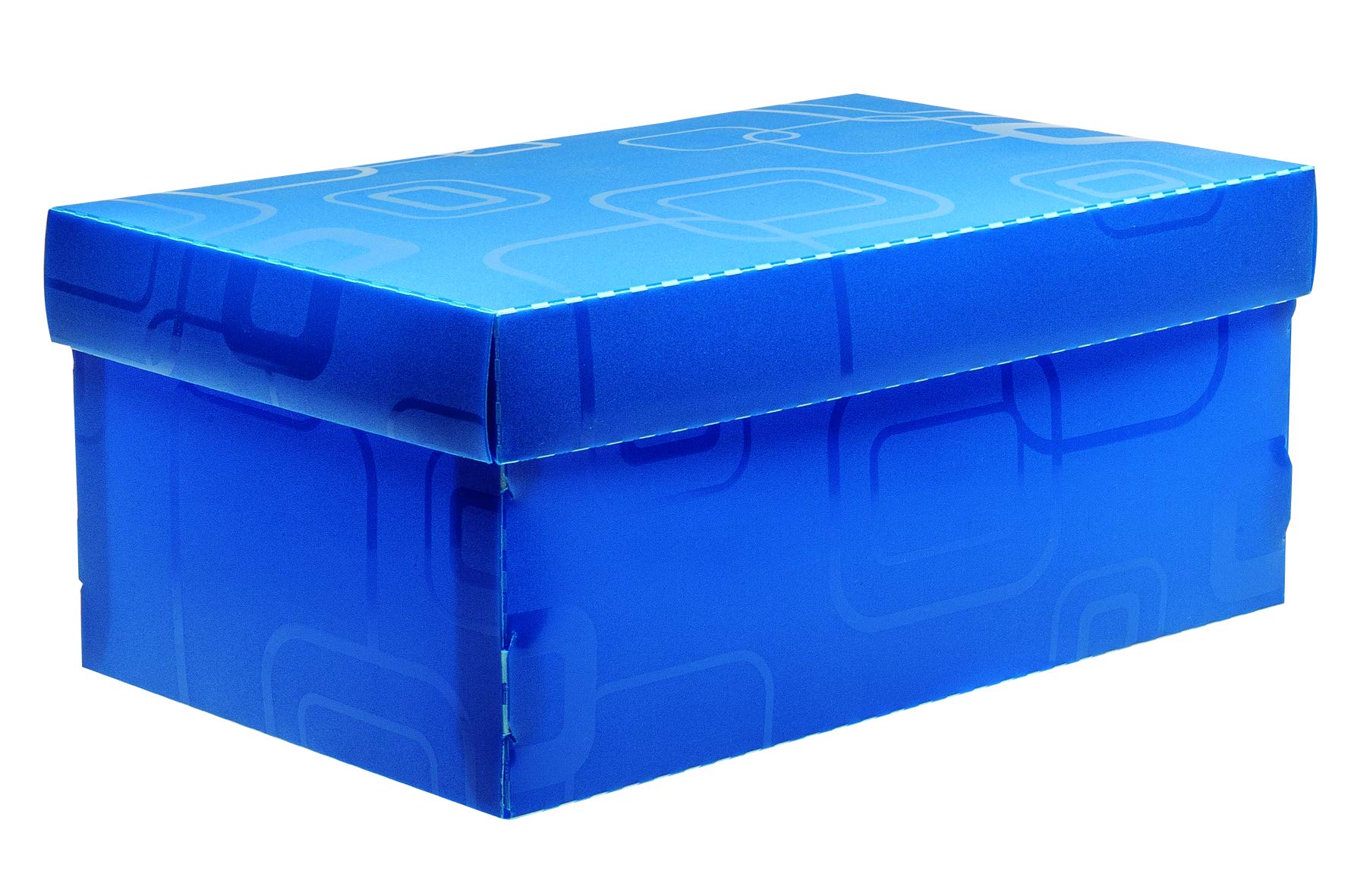 Caixa Organizadora Top Line para Sapato, 28x17x20 cm, Azul, Dello